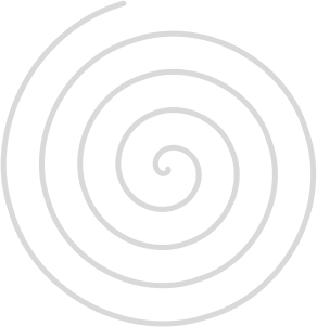 Your Vision, Our Velocity